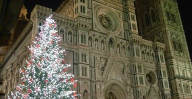 25894-800x600-500x375